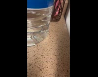 Cat avoids hoomans kiss 