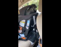 Dad asks baby on car seat snack