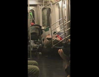 Pigeon on backpack on subway seat 