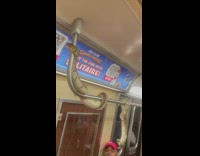 Snake on the train while travel