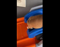 Collab BitchIG2 - Dog rides blue car down orange rap into grass