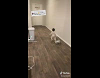 Baby walks toward front door with backpack