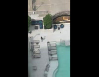 Black hat guy catwalks poolside quarantine 