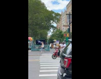 Collab winy - Man rides motorcycle with his cat in front 