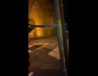 Free wire black shock electric cut 