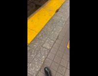 Collab Subway Creatures - Rat on subway gets close to woman's boots