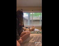 Cat bed hit with different items