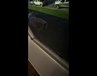 Lady Talks to Man that Lays on Ground