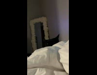 Collab BitchIG2 - Black Cat slaps womans hand 