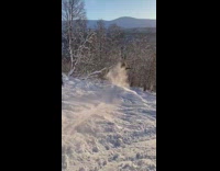 Ski jump and backflip success