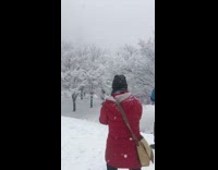 Rat guy rides pizza down snow hill 