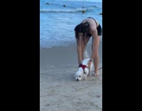 Dog with leash chases woman at beach