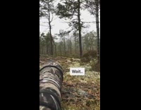 Guy shows photos he took of wildlife 