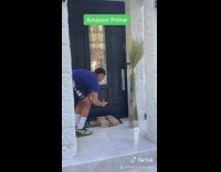 Collab BitchMP - Different types of delivery guy