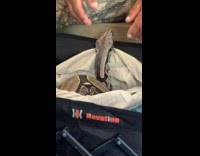 Man brings multiple snakes on train ride part 1