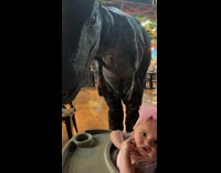 Collab BitchMP - Baby not scared of dinosaur 