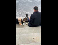Beaver eating snacks with man