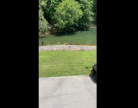 UPS driver takes break to go fishing 