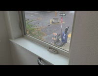 Big dog sit over blue mailbox scooters