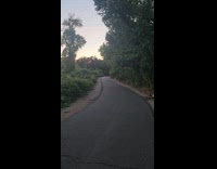 Guy shows humans shaped log at trail