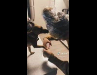 Girl peanut butter on forehead cuts nails 