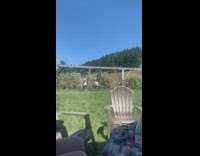 Woman blue dress removes heels runs with wine