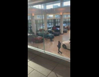 Man pushes dog in front of the car to pose