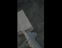 Cat in paper bag grab red string cloth