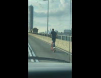 Guy scooters on road of bridge 