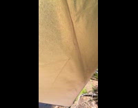 Filmer opens tent and sees lake view