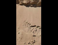 Flat sand touched and it falls and moves upward