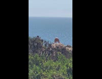 White bikini girl twerks on all fours 