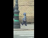 Woman walks with son on a leash
