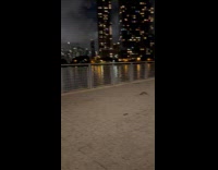 Rat roam at park near river night