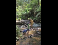 Woman hold yellow dress creek two kids