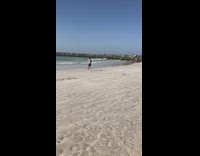 Collab IITW - Blue shorts beach guy phone sand