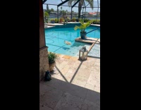 Dog Floats Still on Water in Pool