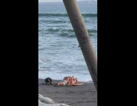 Collab IITW - Couple lay kiss on surfboard beach tree part 2