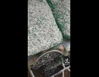 Babies Smile as Lady Open Stroller Shade