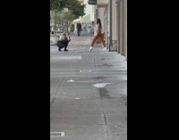 Girl brown pants bag leg apart street