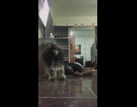 Guy pretends to pass out die dog barks