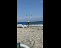 Woman bikini film seagulls and butt beach