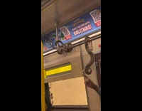 2 pet snakes hang around train bar 