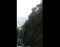 Guy falls off broken branch and falls down rocky waterfall