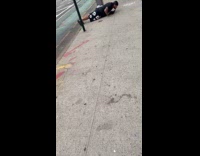 Man does push ups on the sidewalk