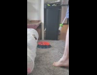 White and brown cat catches roach 