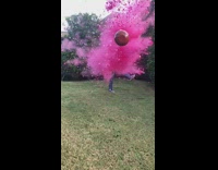 gender reveal pink ball