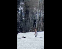 Man cable car snow mountain woman bikini Part 2