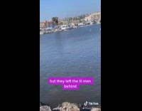 Dog swim class paddle board