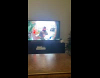 Black dog watch DDOI on the TV